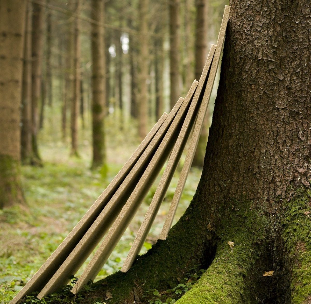 Pavatex : Champion naturel de l'isolation dans la moindre fibre